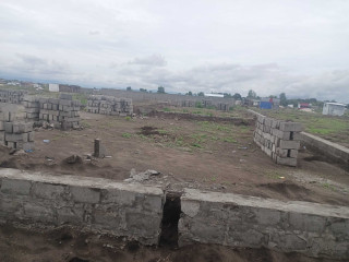Des terrains à vendre commune de la nsele précisément à bibwa