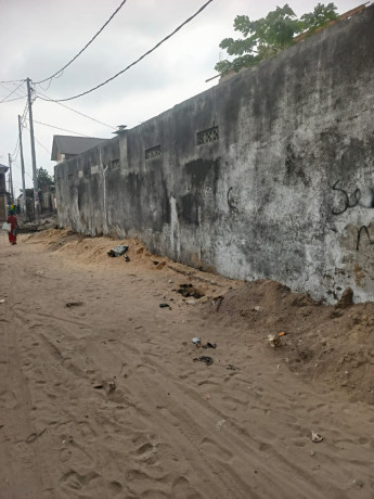 vente-dune-parcelle-avec-maison-a-demolir-dans-la-commune-de-ndjili-q3-tres-bon-endroit-non-loin-de-macadam-big-3