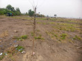 terrain-vide-a-vendre-commune-de-la-nsele-precisement-a-kindobo-small-3