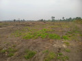 terrain-vide-a-vendre-commune-de-la-nsele-precisement-a-kindobo-small-6